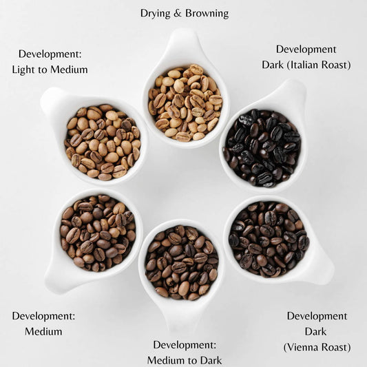 How to Choose the Perfect Coffee Roast: A Comprehensive Guide