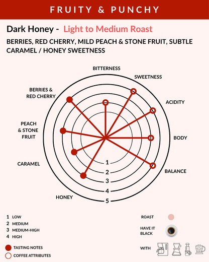 Roast profile diagram for Dark Honey - Light to Medium Roast coffee, showing taste notes like bitterness, sweetness, acidity, body, balance, and honey on a radar chart with roasting stage icons and a legend.
