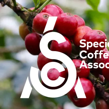 SCA certified coffee roasters home blend coffee